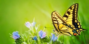 spring2012